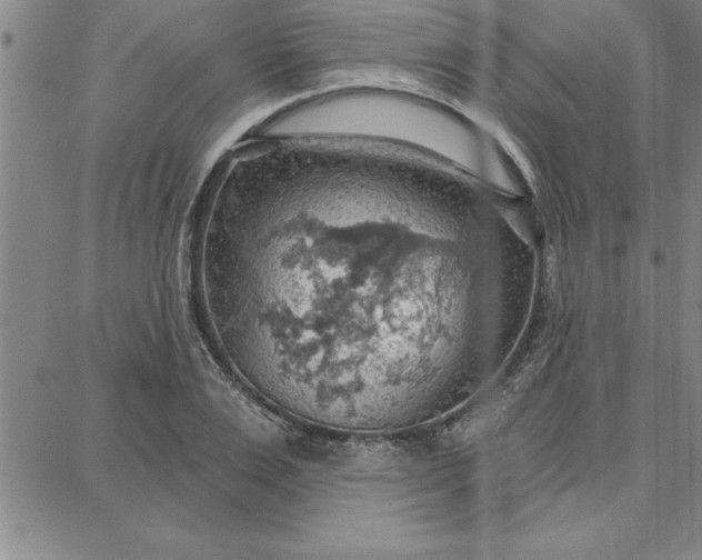 X0000087740983200705211008