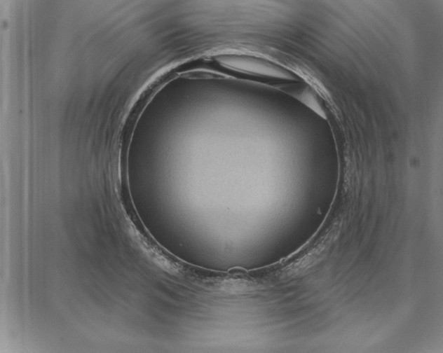 X0000087740984200705211008