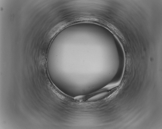 X0000087740985200705211008