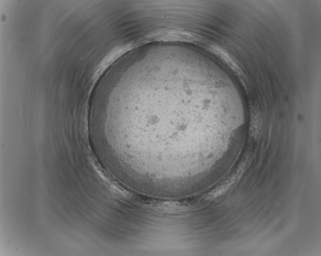 X0000087740986200705211008