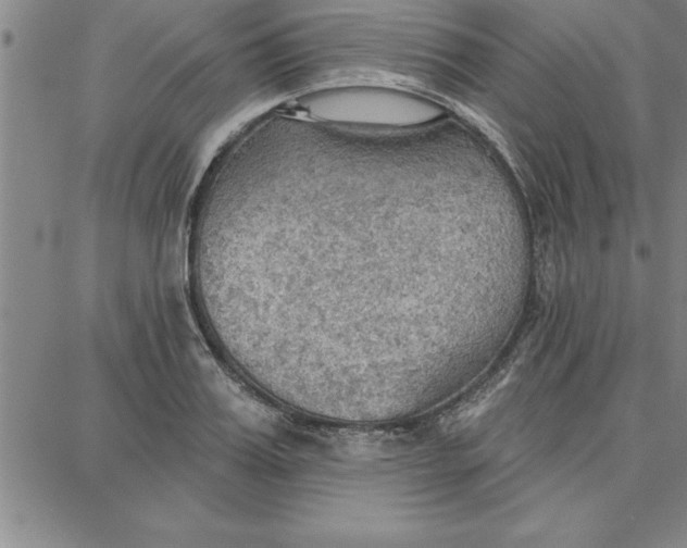 X0000087740987200705211008