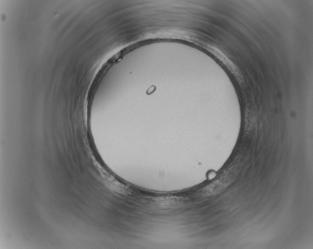 X0000087740988200705211008