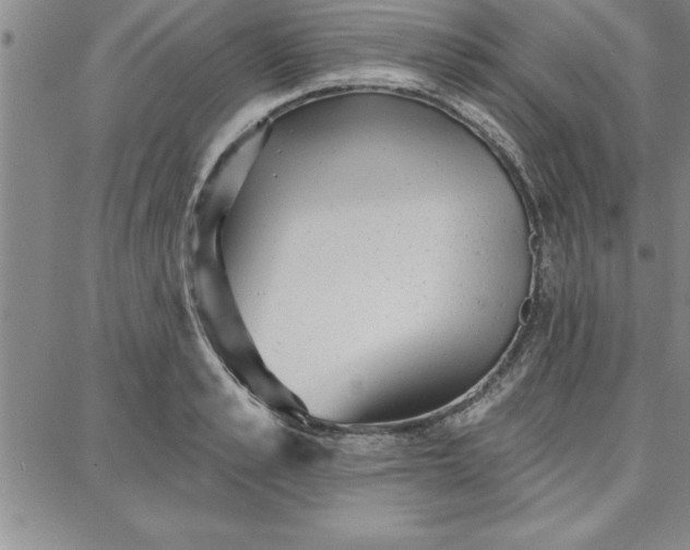 X0000087740989200705211008