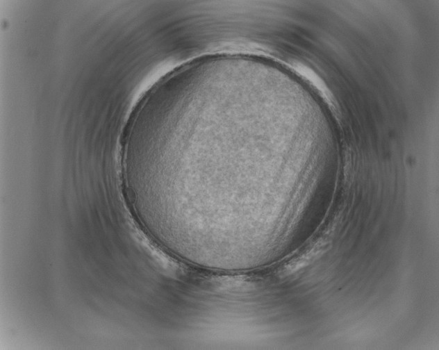 X0000087740990200705211008