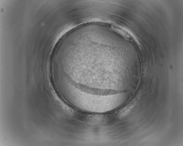 X0000087740991200705211008