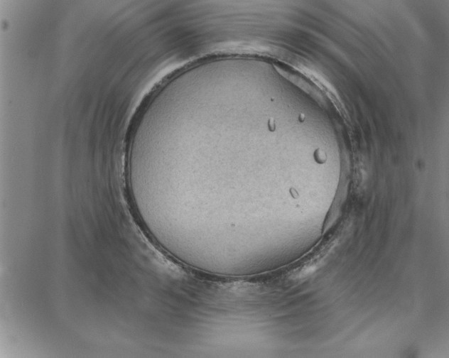 X0000087740992200705211008