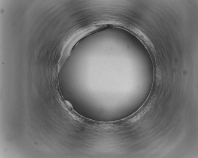 X0000087740993200705211008