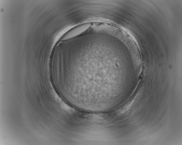 X0000087740995200705211008