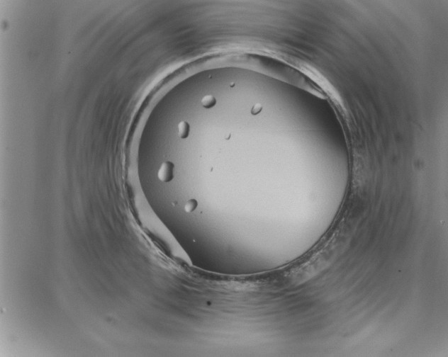 X0000087740996200705211008