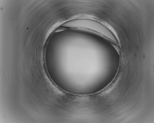 X0000087740997200705211008