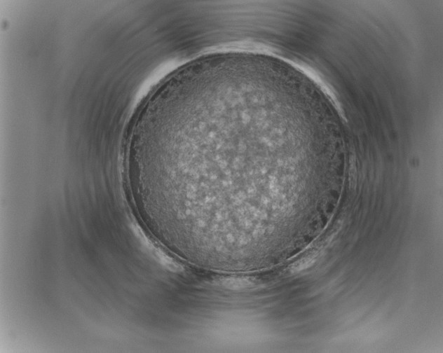 X0000087740998200705211008