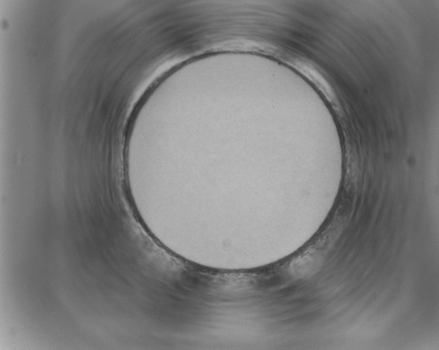 X0000087741000200705211008