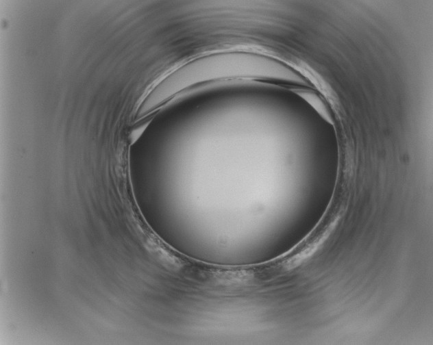 X0000087741001200705211008