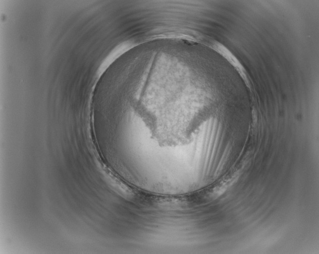 X0000087741002200705211008