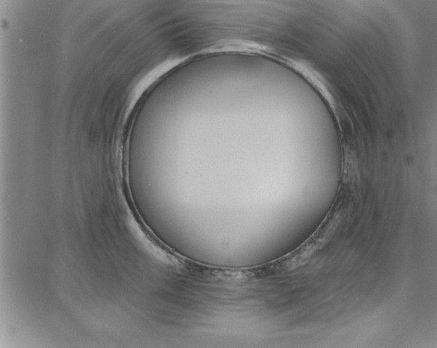 X0000087741003200705211008