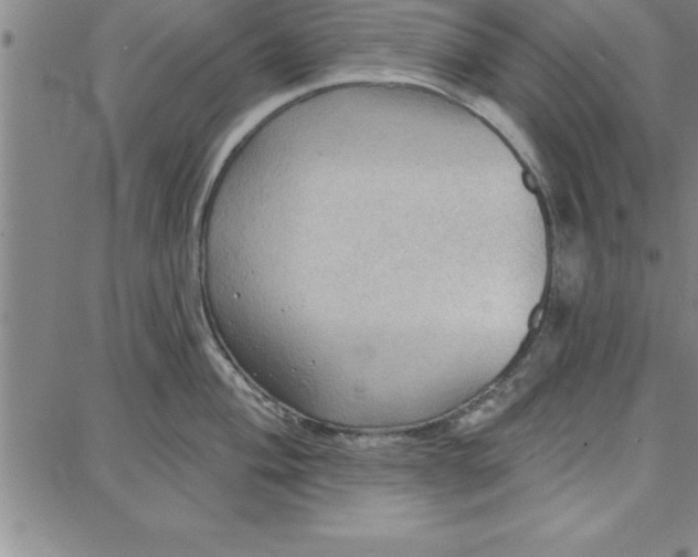 X0000087741004200705211008