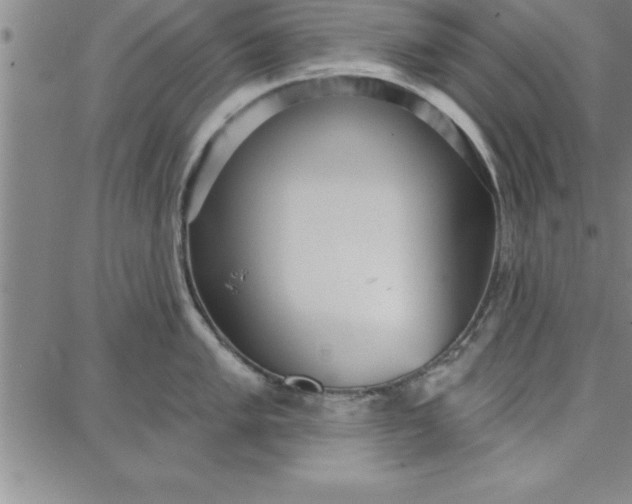 X0000087741005200705211008