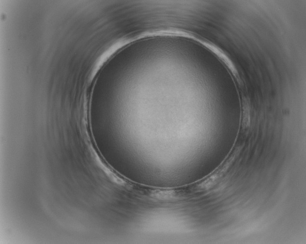 X0000087741006200705211008