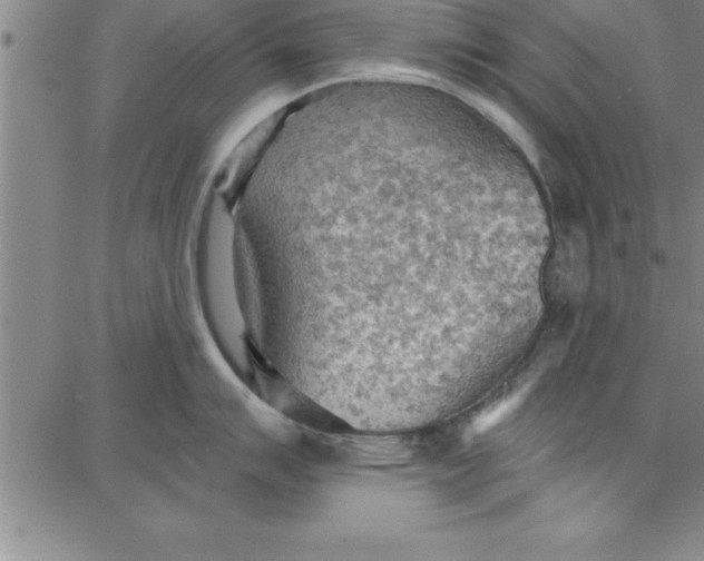 X0000087741007200705211007