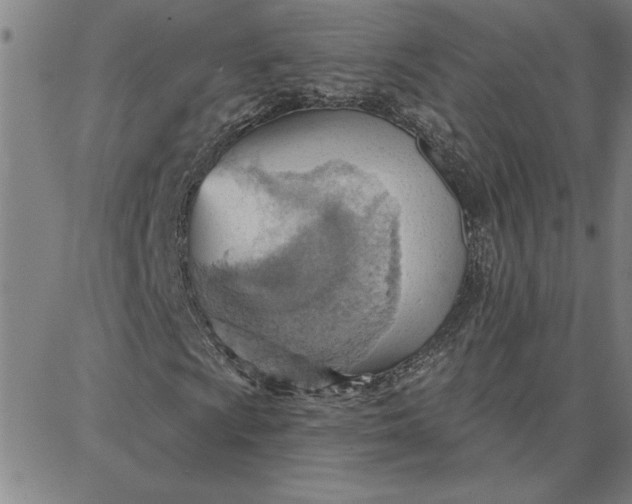 X0000087741009200705211007