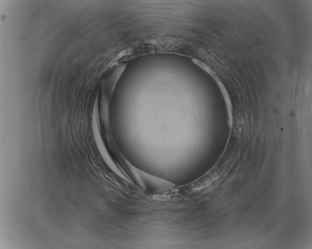 X0000087741010200705211007