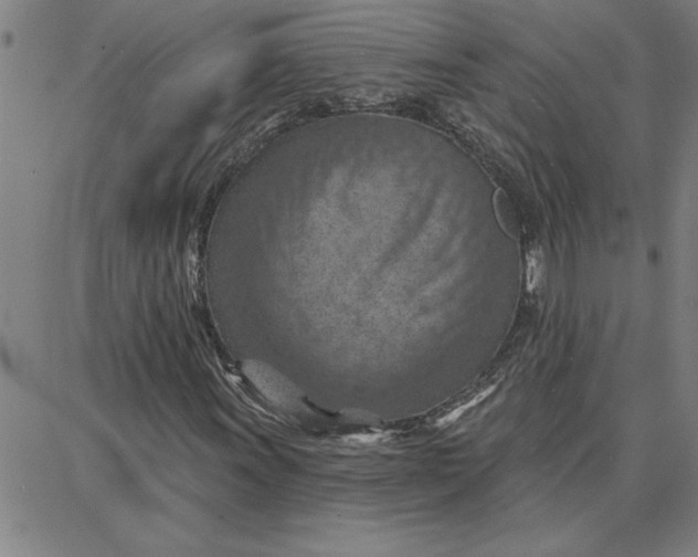 X0000087741011200705211007