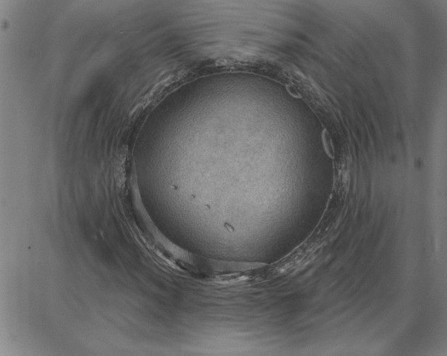 X0000087741012200705211007