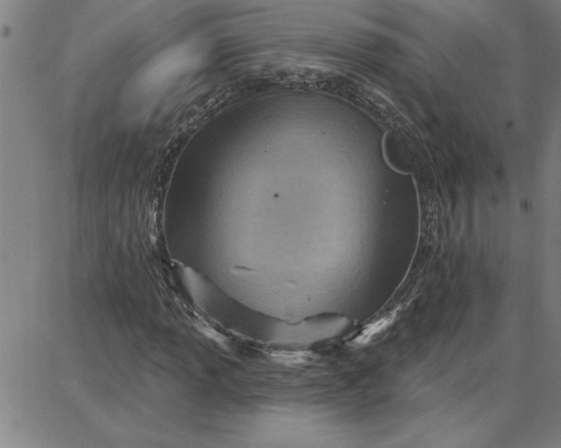 X0000087741013200705211007