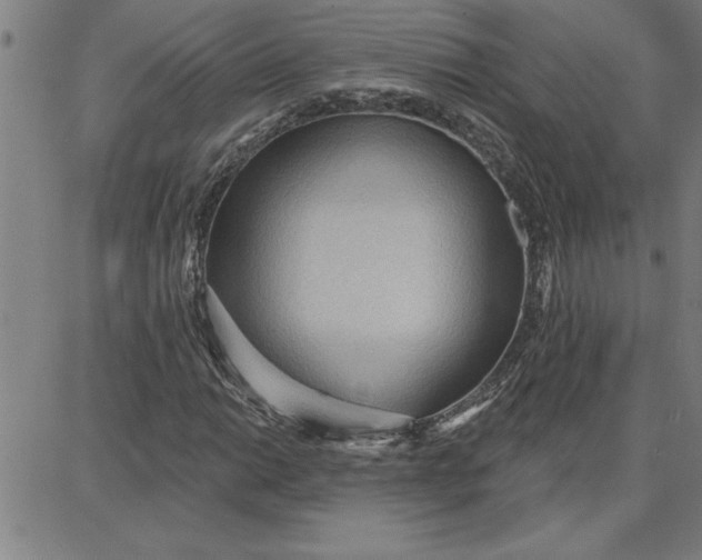 X0000087741014200705211007