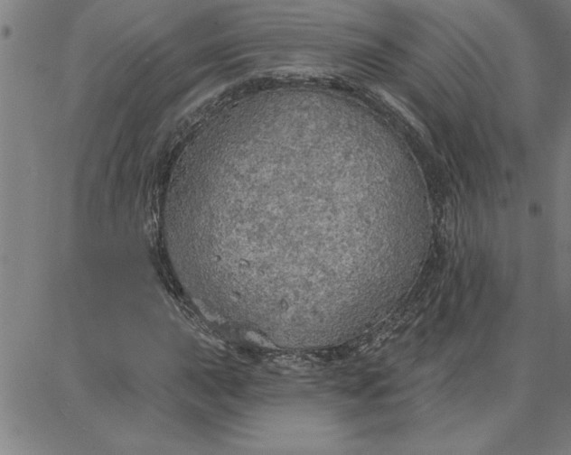 X0000087741015200705211007