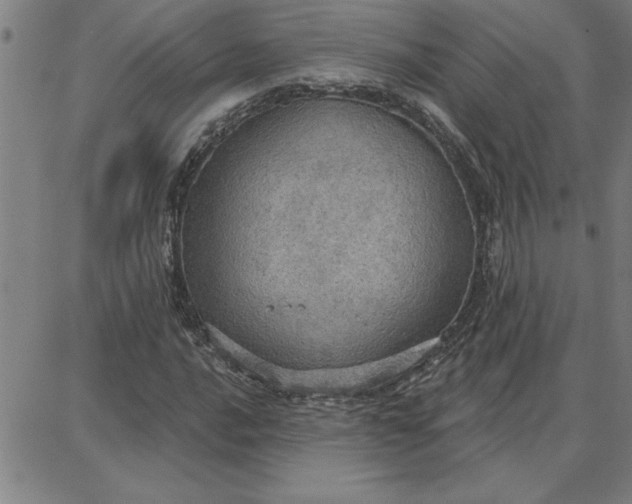 X0000087741016200705211007