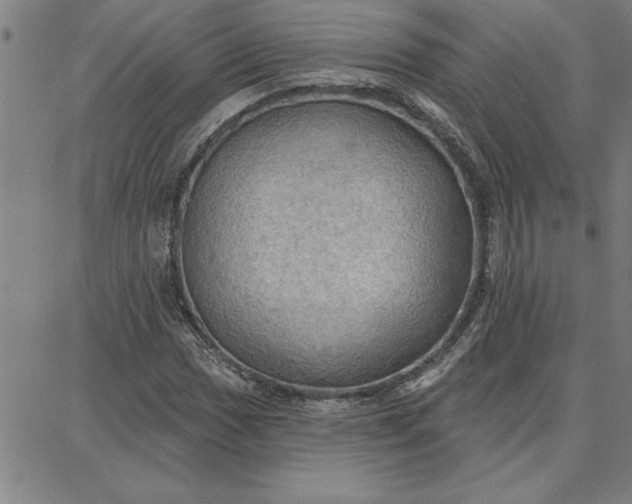 X0000087741017200705211007