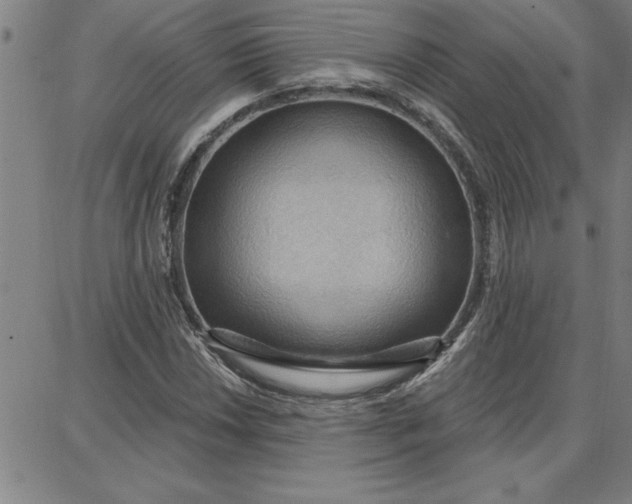 X0000087741018200705211007