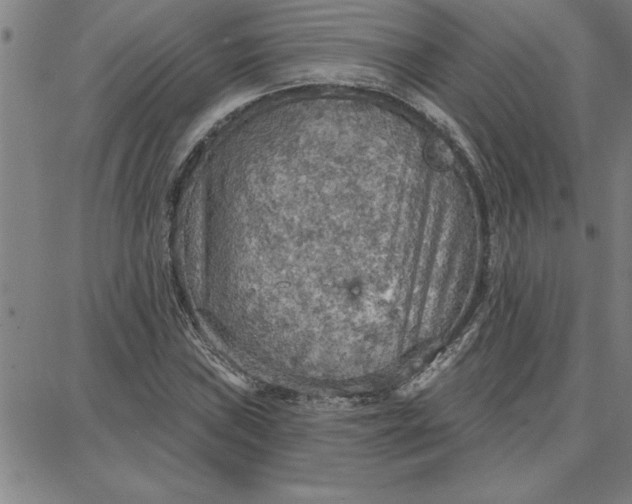 X0000087741019200705211007