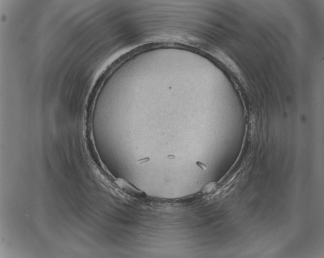 X0000087741020200705211007