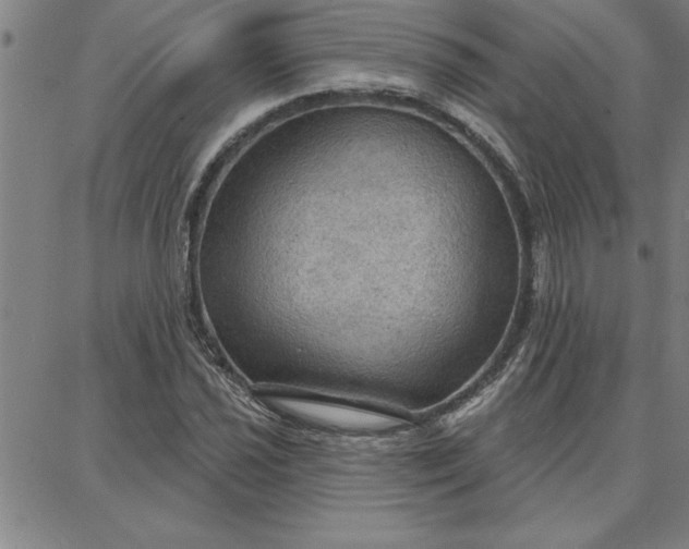 X0000087741021200705211007