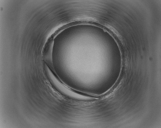 X0000087741022200705211007