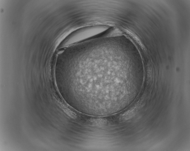 X0000087741023200705211007