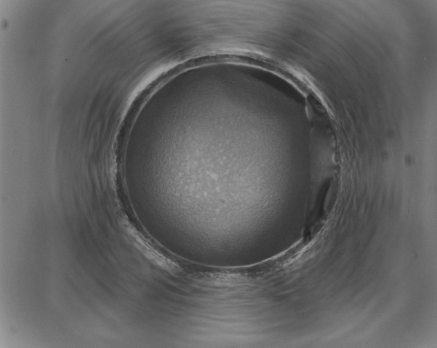 X0000087741024200705211007