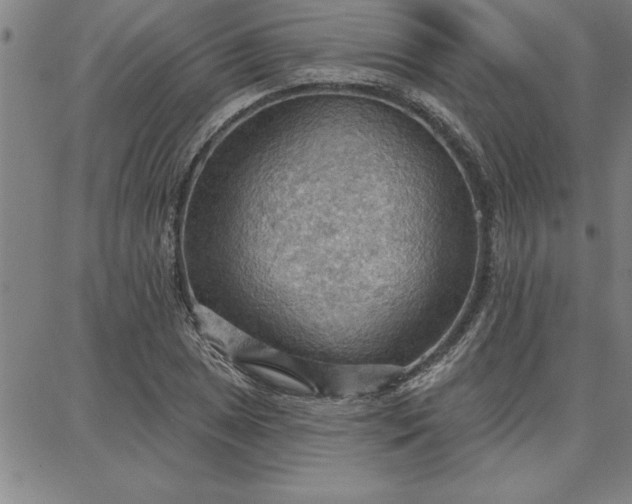 X0000087741025200705211007