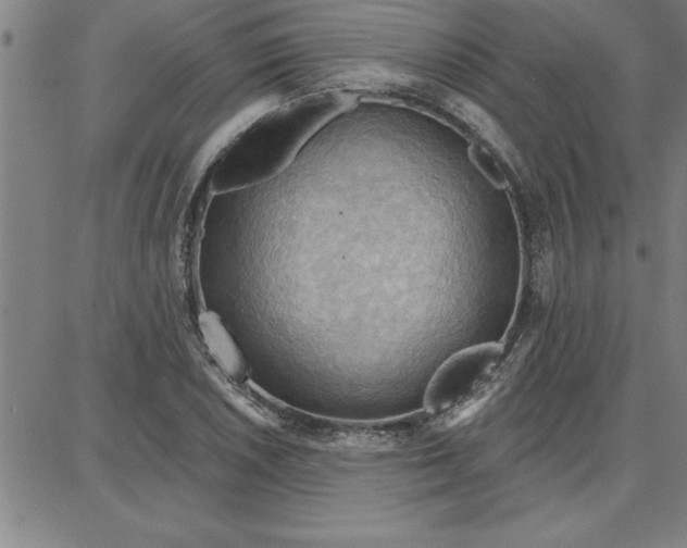 X0000087741026200705211007