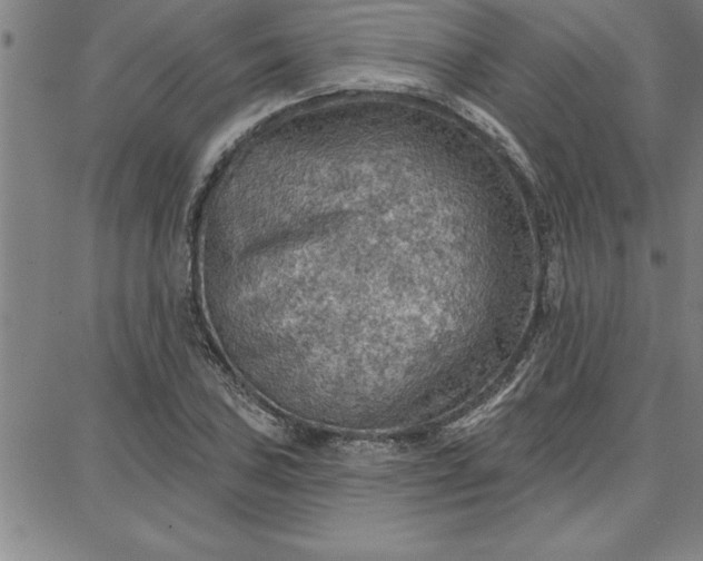 X0000087741027200705211007