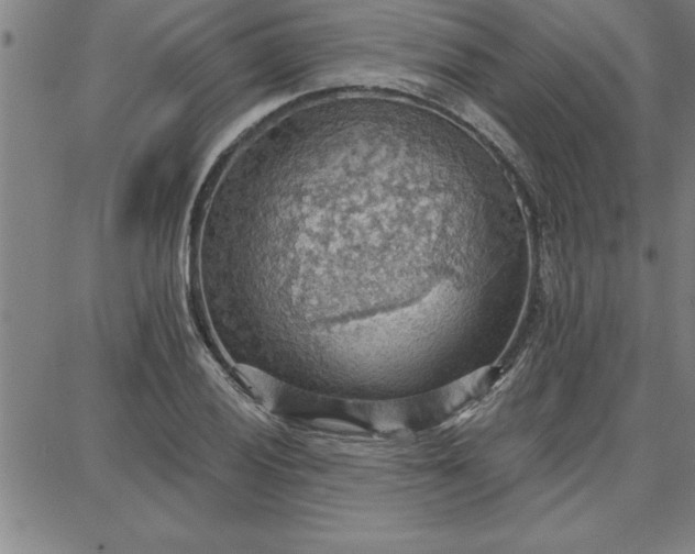 X0000087741028200705211007