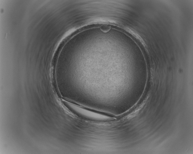 X0000087741029200705211007