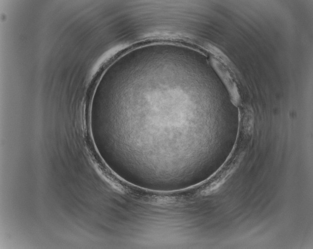 X0000087741030200705211007