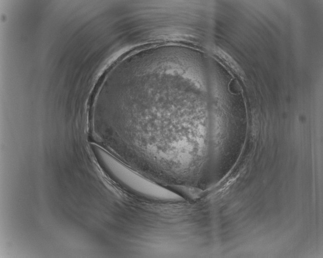 X0000087741031200705211007