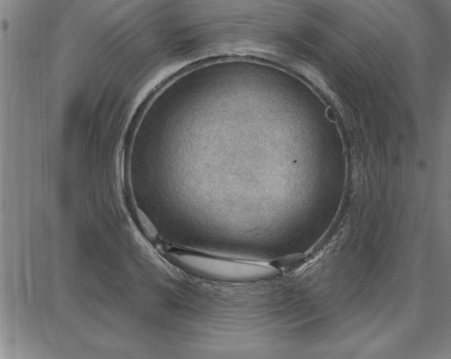 X0000087741032200705211007