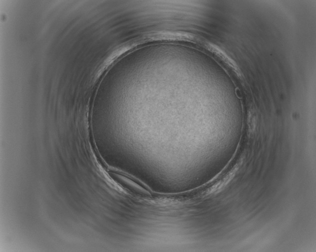 X0000087741033200705211007