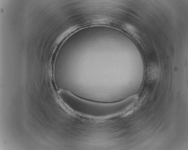 X0000087741034200705211007