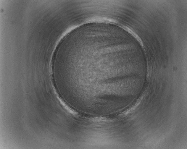 X0000087741037200705211007